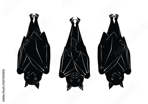 Three black bats hanging upside down against a white background.