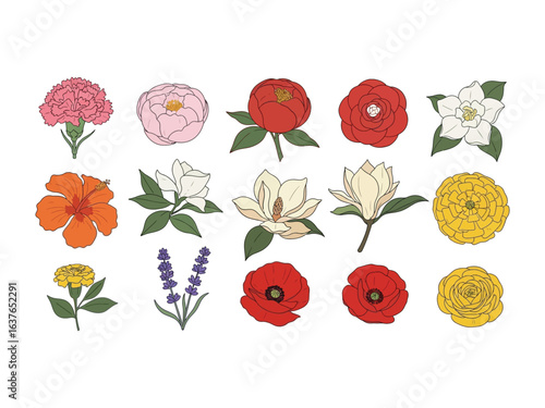 Floral Assortment: a stunning array of diverse blooms showcase the beauty and variety of flora, captured with delicate line art and vibrant colors, a testament to botanical beauty.