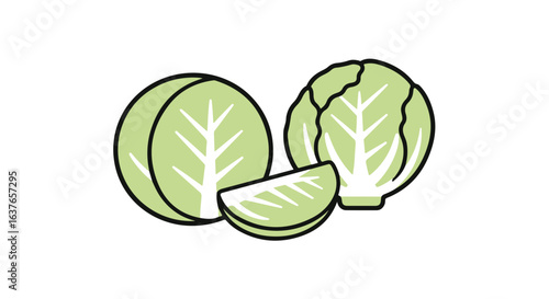 Freshly cut lettuce arranged on the table.