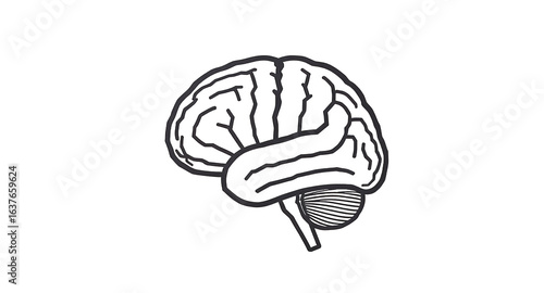 Brain Illustration Simple, Vector Graphic for Medical, Health Wellness Projects