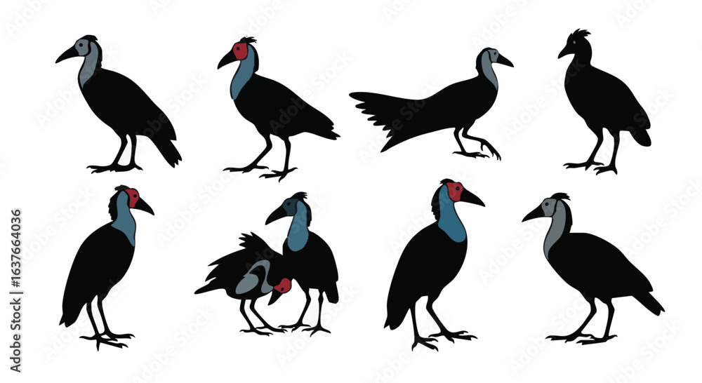 Obraz premium Variety of Knob Billed Duck Illustrations Posing Isolated on White Background Displaying Unique Plumage and Characteristics
