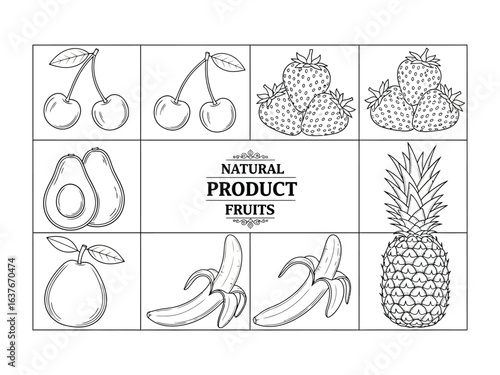 Ink Sketch of Fruits: Captivating ink sketch showcasing an array of wholesome fruits, highlighting their unique shapes and textures, a visual feast for the eyes, a reminder of nature's bounty.