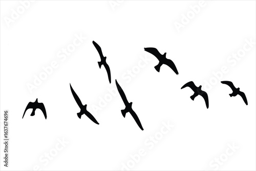 Flock of birds flying in formation silhouette