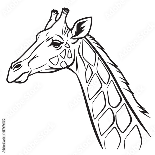 Vector drawing of a wild giraffe head, a silhouette sketch for a tattoo