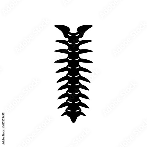 Spine silhouette art on transparent background