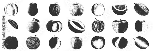 A black and white illustration of fifteen various fruits, including apples, citrus, and melons, shown in rows. The style is textured and dotted, giving a vintage look.