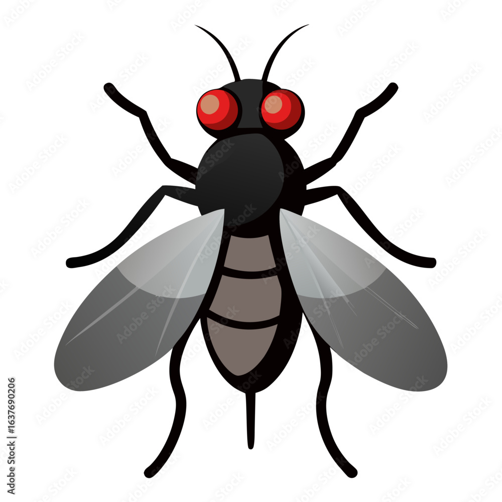 Fototapeta premium Horsefly