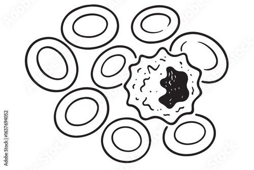 20250809_0045_Leukemia_Cell_Contrast_gen_01k264gzp9ea2axq7tz1y1zzbk