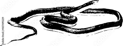 abstract illustration snake silhouette. Illustration of shape as an example of snake design. Diseño abstracto de serpiente en color blanco, negro, verde y guinda. PNG. VEXTOREN. JPG