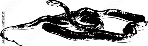 abstract illustration snake silhouette. Illustration of shape as an example of snake design. Diseño abstracto de serpiente en color blanco, negro, verde y guinda. PNG. VEXTOREN. JPG