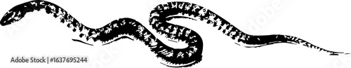 abstract illustration snake silhouette. Illustration of shape as an example of snake design. Diseño abstracto de serpiente en color blanco, negro, verde y guinda. PNG. VEXTOREN. JPG
