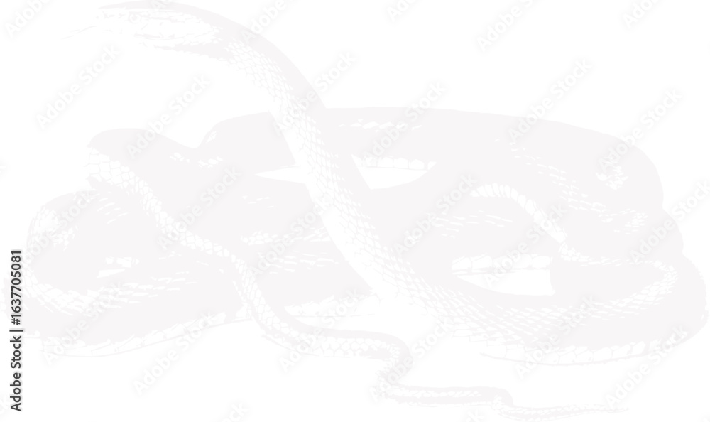 Fototapeta premium abstract illustration snake silhouette. Illustration of shape as an example of snake design. Diseño abstracto de serpiente en color blanco, negro y guinda. PNG. VEXTOREN. JPG