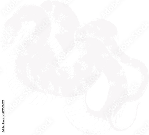 abstract illustration snake silhouette. Illustration of shape as an example of snake design. Diseño abstracto de serpiente en color blanco, negro y guinda. PNG. VEXTOREN. JPG