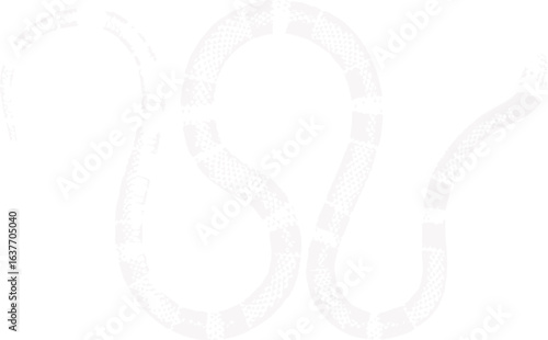 abstract illustration snake silhouette. Illustration of shape as an example of snake design. Diseño abstracto de serpiente en color blanco, negro y guinda. PNG. VEXTOREN. JPG