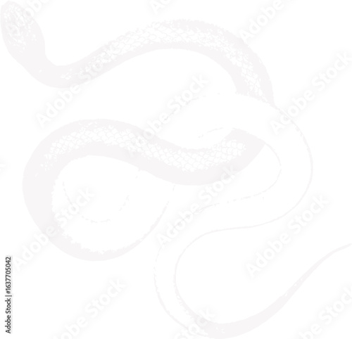 abstract illustration snake silhouette. Illustration of shape as an example of snake design. Diseño abstracto de serpiente en color blanco, negro y guinda. PNG. VEXTOREN. JPG