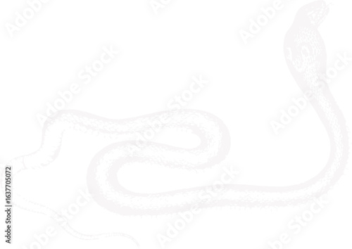 abstract illustration snake silhouette. Illustration of shape as an example of snake design. Diseño abstracto de serpiente en color blanco, negro y guinda. PNG. VEXTOREN. JPG