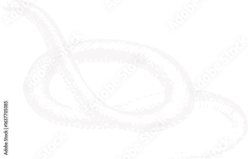 abstract illustration snake silhouette. Illustration of shape as an example of snake design. Diseño abstracto de serpiente en color blanco, negro y guinda. PNG. VEXTOREN. JPG
