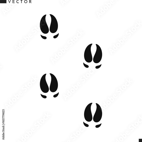 Red river hog footprints