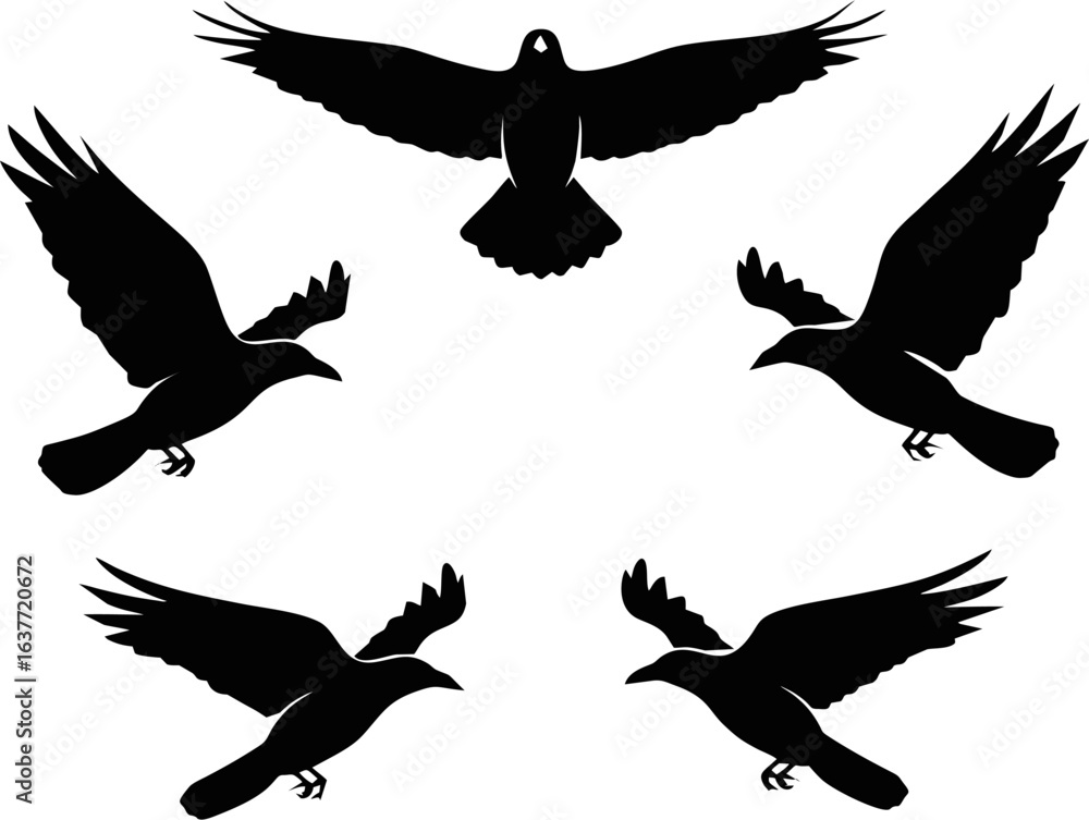 Obraz premium Flying Bird Silhouettes in Circular Formation – Dynamic Black Vector Illustration for Stock Use