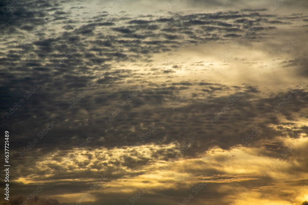 Obraz premium 奄美大島の夏の風景。空。雲。