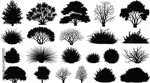 Tree and bush silhouettes, various plant shapes, black and white vector illustration for landscaping, garden design, nature, outdoor scenery, decoration.