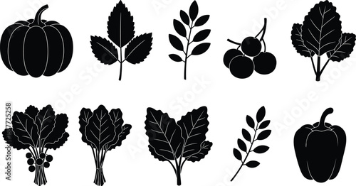 Vegetable and herb silhouettes, pumpkin, pepper, leafy greens, berries, plants, black vector illustration for gardening, farming, cooking, healthy food design.