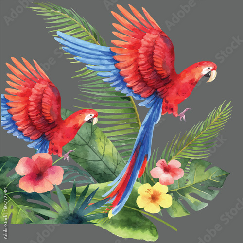talking parrot, baby parrot, hand-fed parrot, parrot tricks, parrot noises, parrots in captivity, jungle birds, parrot habitat, tropical rainforest, parrot sanctuary, bonded parrots, parrot enrichment