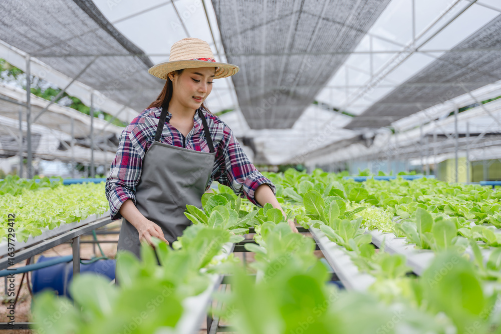 Obraz premium farmer carefully inspecting green lettuce in modern hydroponic greenhouse agricultural in farming technology offering a glimpse smart farm of agriculture 