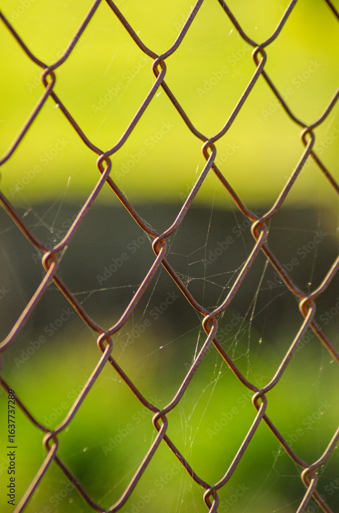 Fototapeta premium The texture of rust and time on a chainlink fence with a spider web passing of time concept