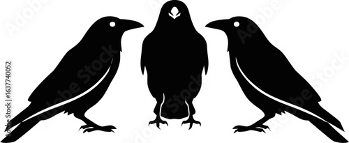 Three Crows Silhouette Vector Illustration