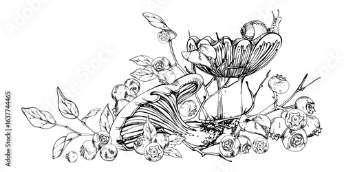 Russula webcap mushroom, snail on top, blueberry blackberry berries twigs branches. Forest woodland ecosystem habitat scene. Illustration hand drawn in vector ink. Foraging logbooks, nature posters