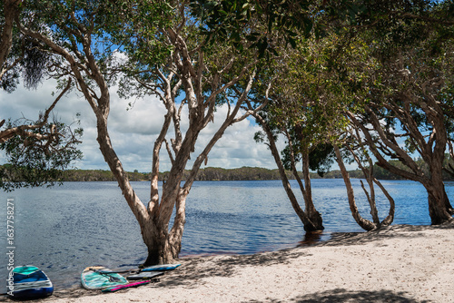 фотографія Lake Ainsworth, located in Lennox Head, New South Wales, Australia, is a popular tea-tree lake known for its dark, tannin-stained waters and health-giving properties