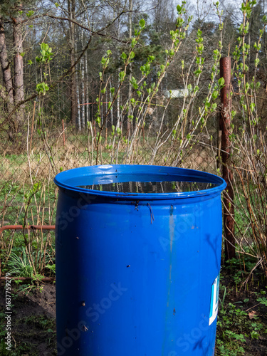 Blue, plastic water barrel reused for collecting and storing rainwater for watering plants full with water in spring