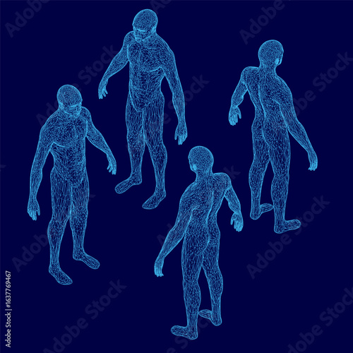 Male 3D wireframe model displays detailed anatomical structure with interconnected shapes on a blue background. The digital skeleton highlights realistic proportions and human form.