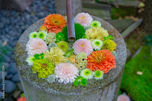 花手水、和の癒し
