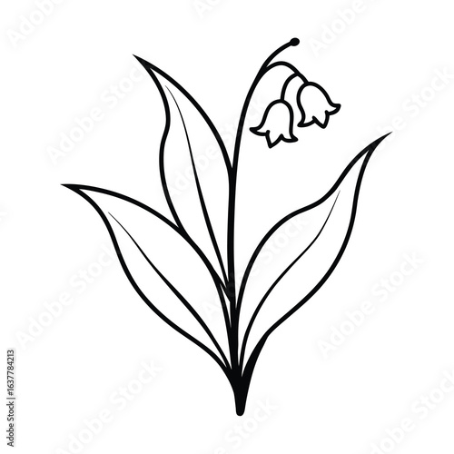 a black and white drawing of a lily of the valley