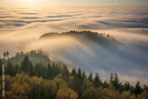An aerial shot captures a spectacular temperature inversion in the Northern Black Forest, Germany.