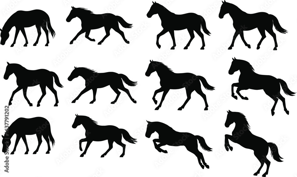Obraz premium Solid black silhouette of horses in different poses: grazing, standing still, running, jumping, and rearing. A 16-piece set collection focused on horse movement and different postures, with clean line