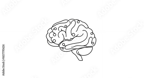 Brain Illustration Simple Line Art Graphic for Medical, Educational, Marketing Use