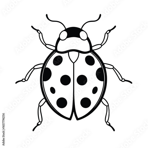 a line art drawing of a ladybird on white background