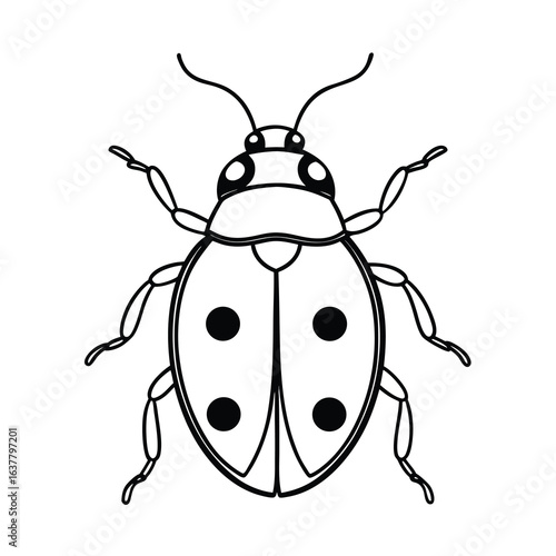 a line art drawing of a ladybird on white background