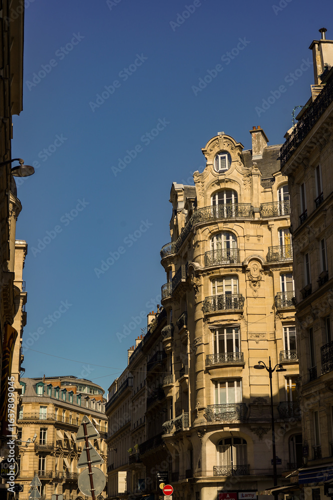 Fototapeta premium beautiful Haussmannian architecture in Paris , real estate