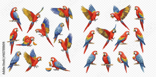 A collection of colorful macaw parrots illustrated in various dynamic poses, including flying, perching, and eating.