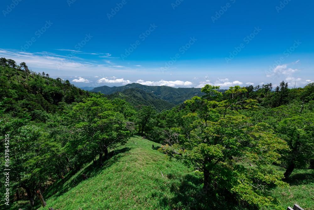 Naklejka premium 大台ヶ原