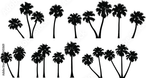 Palm tree silhouettes set, tropical nature black vector illustration, various palm trees, tropical forest, exotic plants, cad drawing flat vector illustration