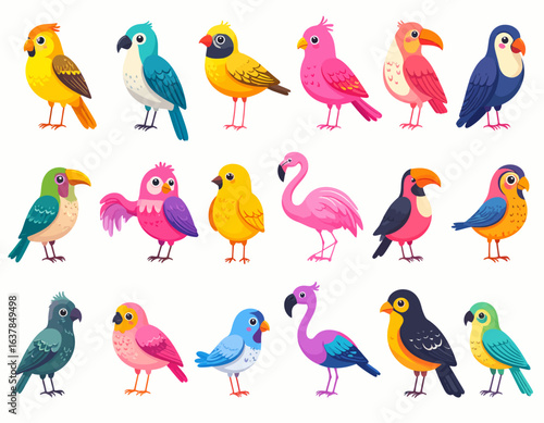 Colorful exotic bird species cartoon vector collection for children’s illustrations