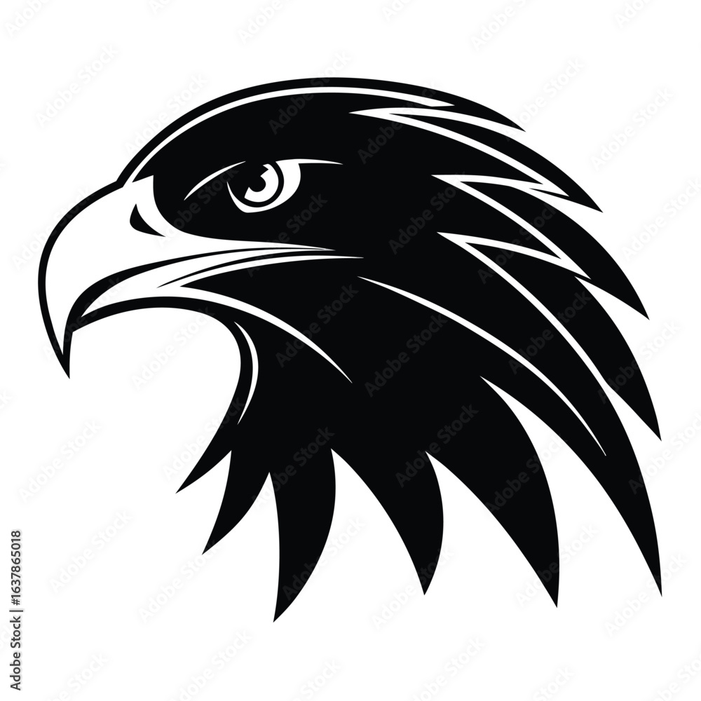 Obraz premium Adobe Illustrator Artwork