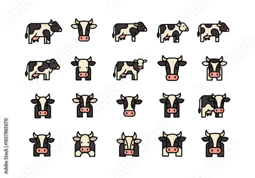 Cows with black and white patterns suitable for agricultural, rural, livestock themes farm products advertising, dairy industry promotions, and nature designs.