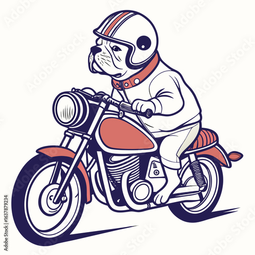 A determined Bulldog takes to the open road on his vintage motorcycle