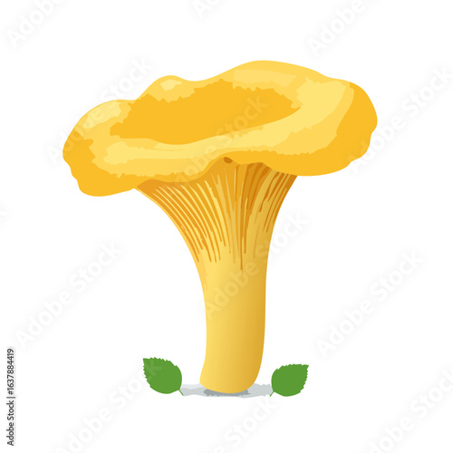 Vibrant yellow chanterelle mushroom illustration on a black backdrop with green leaves, edible fungi for gourmet cooking.